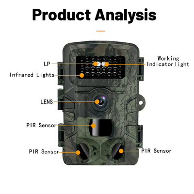 Kamera obserwacyjna PR700 4K 36MP IP54 2.0 Ekran LCD Kamera noktowizyjna Wildlife Camera
